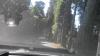 /photos/mini/1508/297/Photo_20150821111026_43.20551_40.292232_27kmh_174grad.jpg